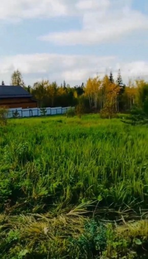 ДП Родной в Лесном - lesnoj.yutvil.ru - фото 1