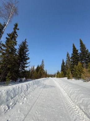 ДП Родной в Лесном - lesnoj.yutvil.ru - фото 7