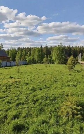 ДП Родной в Лесном - lesnoj.yutvil.ru - фото 4