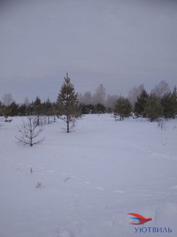 Земельный участок поселок Баженово в Лесном - lesnoj.yutvil.ru - фото 5