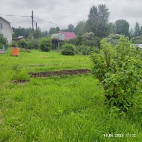 г Верхняя пышма, СНТ Мираж, уч.№ 99 в Лесном - lesnoj.yutvil.ru - фото 8