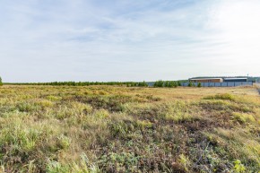 Российская Федерация, Свердловская область, Сысертский городской округ, территория садоводческого некоммерческого товарищества Бобровские дачи, улица Каштановая, земельный участок № 38 в Лесном - lesnoj.yutvil.ru - фото 24