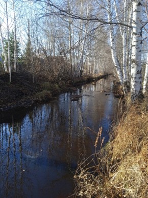 СНТ Берёзка в Лесном - lesnoj.yutvil.ru - фото 14