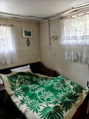 СНТ Родники в Лесном - lesnoj.yutvil.ru - фото 10