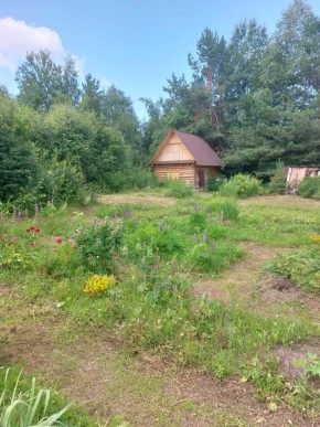 СНТ Родники в Лесном - lesnoj.yutvil.ru - фото 3