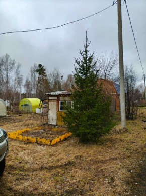 СНТ Родники в Лесном - lesnoj.yutvil.ru - фото 5