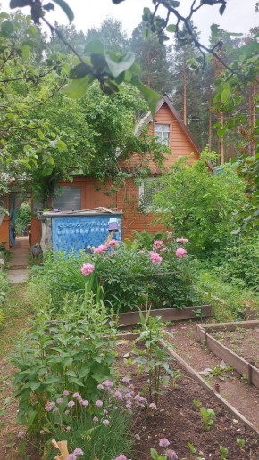 СНТ Садовод-24 в Лесном - lesnoj.yutvil.ru