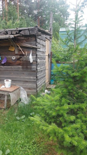 СНТ Садовод-24 в Лесном - lesnoj.yutvil.ru - фото 13