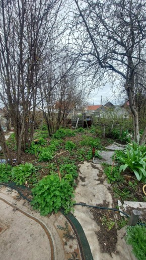 СНТ Сирень, уч. 38 в Лесном - lesnoj.yutvil.ru - фото 7