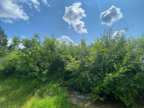 СПК Юбилейный, уч. 9 в Лесном - lesnoj.yutvil.ru - фото 9