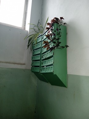 ул. Бажова,11 в Лесном - lesnoj.yutvil.ru - фото 3 ул. Бажова,11 в Лесном - lesnoj.yutvil.ru - фото 3