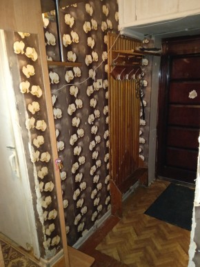 ул. Бажова,11 в Лесном - lesnoj.yutvil.ru - фото 9 ул. Бажова,11 в Лесном - lesnoj.yutvil.ru - фото 9