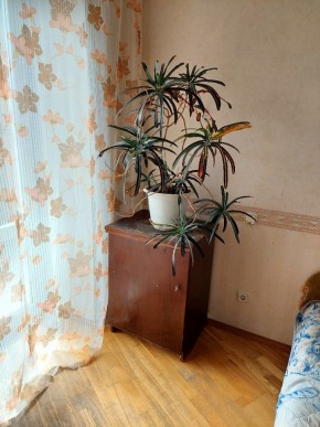 ул. Индустрии,29 в Лесном - lesnoj.yutvil.ru - фото 4