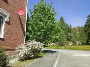 ул. Сосновая, 8 в Лесном - lesnoj.yutvil.ru - фото 25 ул. Сосновая, 8 в Лесном - lesnoj.yutvil.ru - фото 25