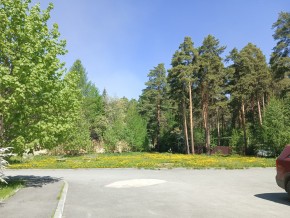 ул. Сосновая, 8 в Лесном - lesnoj.yutvil.ru - фото 26 ул. Сосновая, 8 в Лесном - lesnoj.yutvil.ru - фото 26