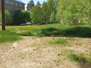 ул. Сосновая, 8 в Лесном - lesnoj.yutvil.ru - фото 33 ул. Сосновая, 8 в Лесном - lesnoj.yutvil.ru - фото 33