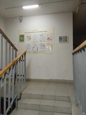 ул. Высокая,7 в Лесном - lesnoj.yutvil.ru - фото 8 ул. Высокая,7 в Лесном - lesnoj.yutvil.ru - фото 8